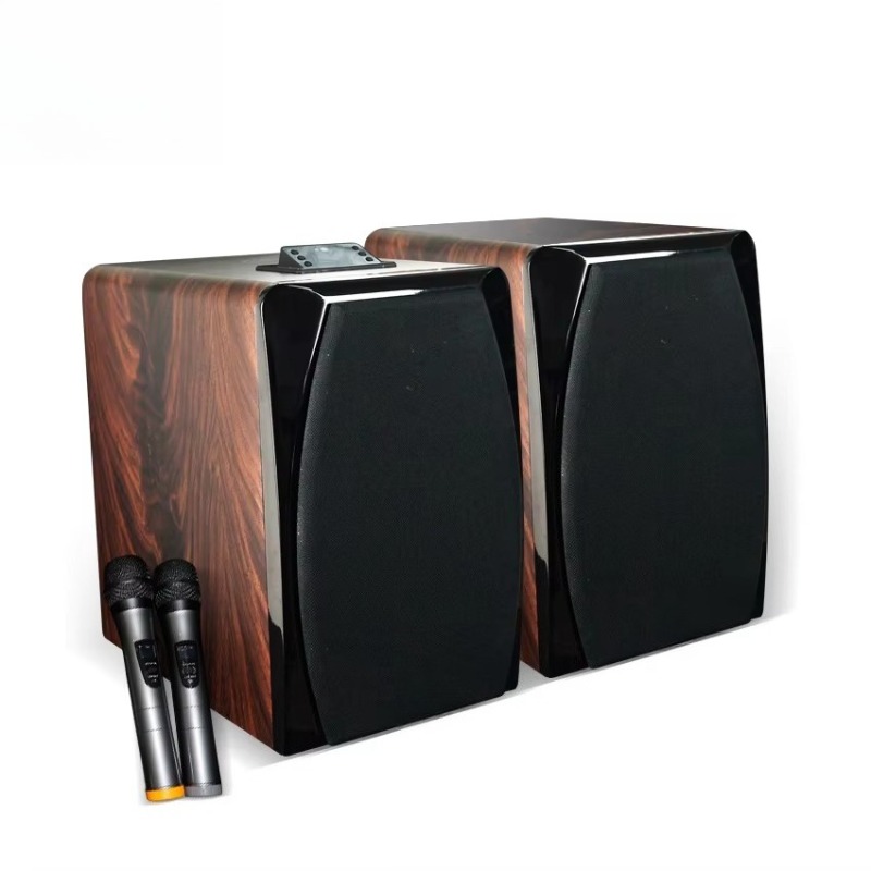 Boombox Karaoke Aktif Berkiner - Audio Music Dj ulasan dan harga